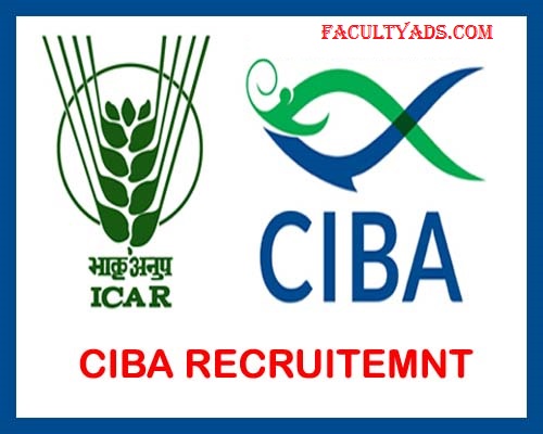 CIBA Recruitment 2019