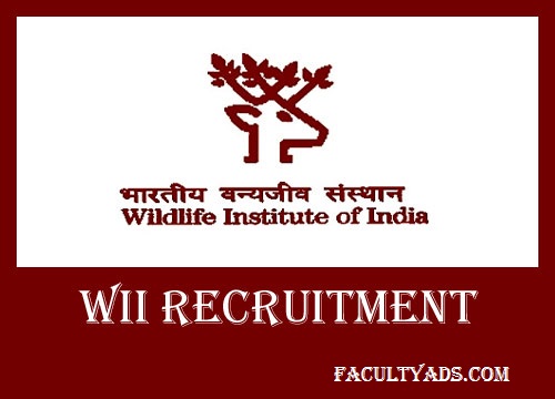 Wildlife Institute of India (WII) Recruitment 2019
